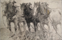 Door De Riemkap gerestaureerde tekening in gemengde techniek op papier.