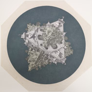 Door De Riemkap gerestaureerde houtgravure in kleur op papier.